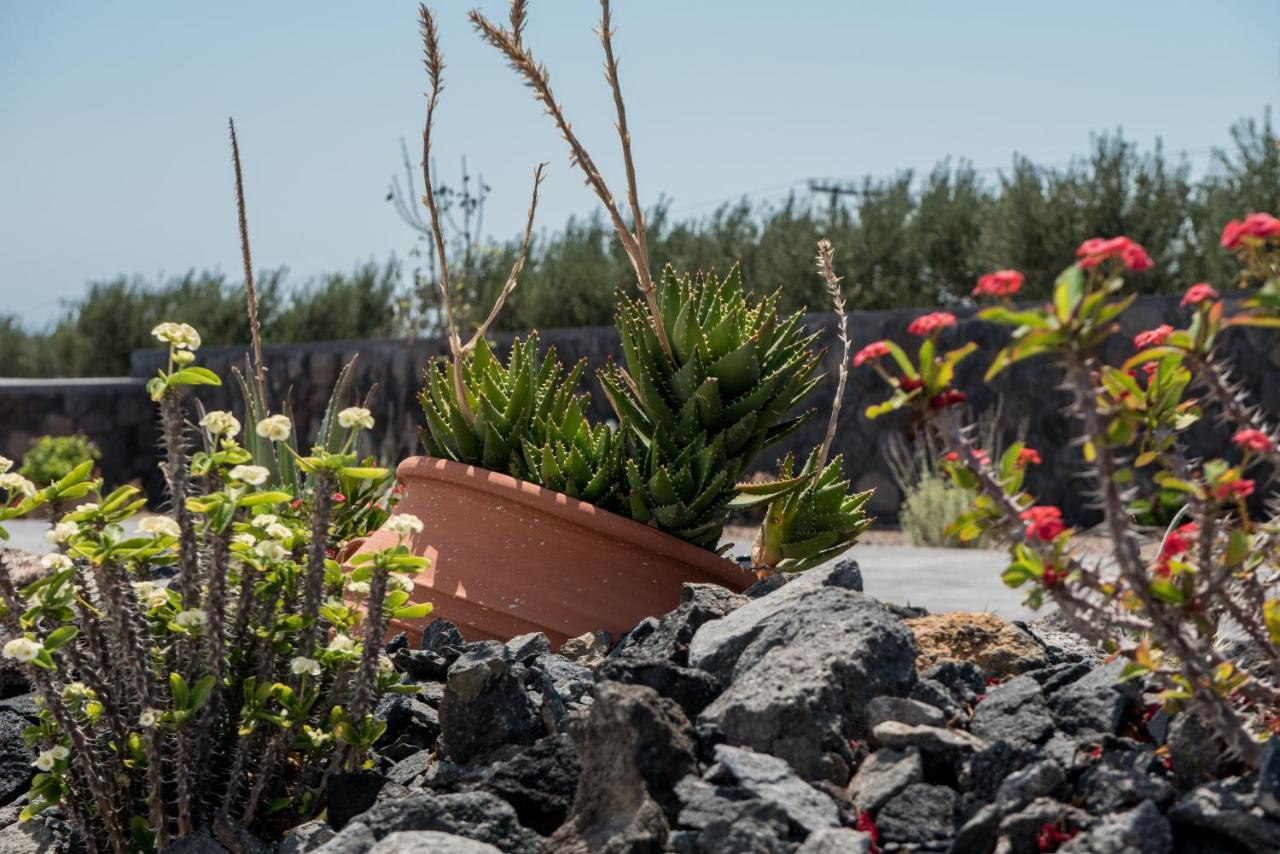 George Farm Land Karterados (Santorini) Exterior foto